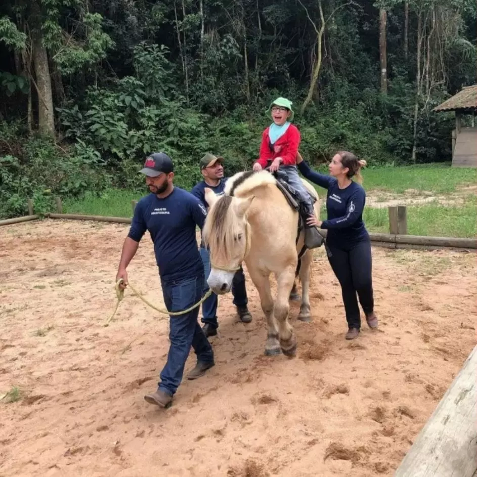 Projetos